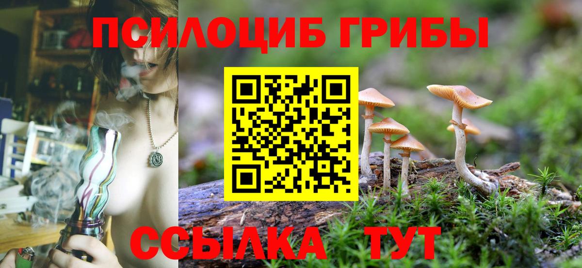 Псилоцибиновые грибы Psilocybine cubensis Ливны